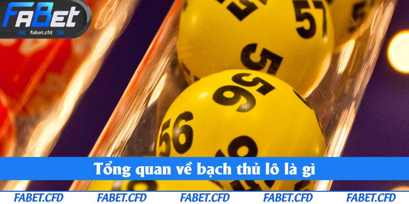 Tổng quan về bạch thủ lô là gì