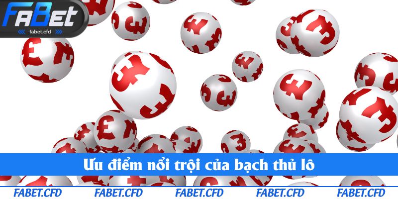 Ưu điểm nổi trội của bạch thủ lô