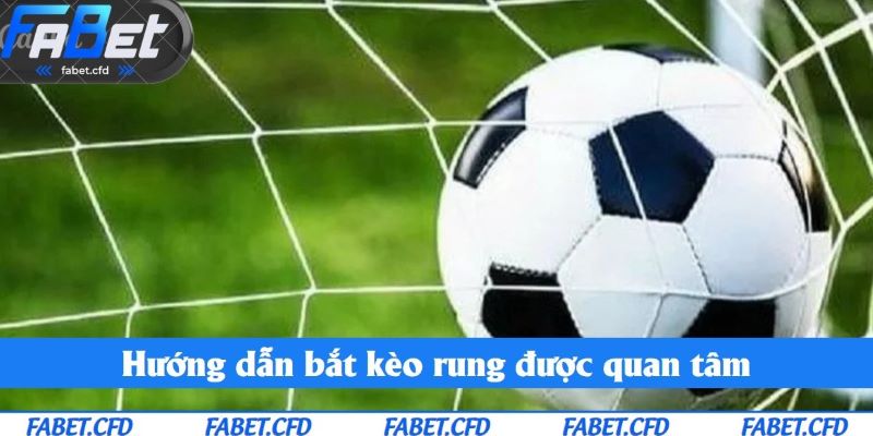 Hướng dẫn bắt kèo rung được quan tâm