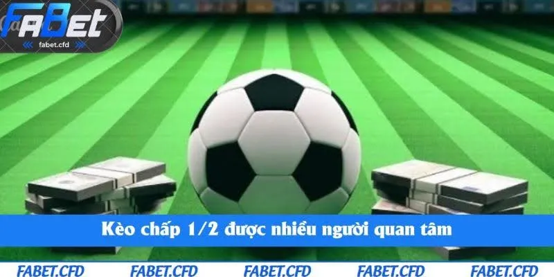 Kèo chấp 1/2 được nhiều người quan tâm