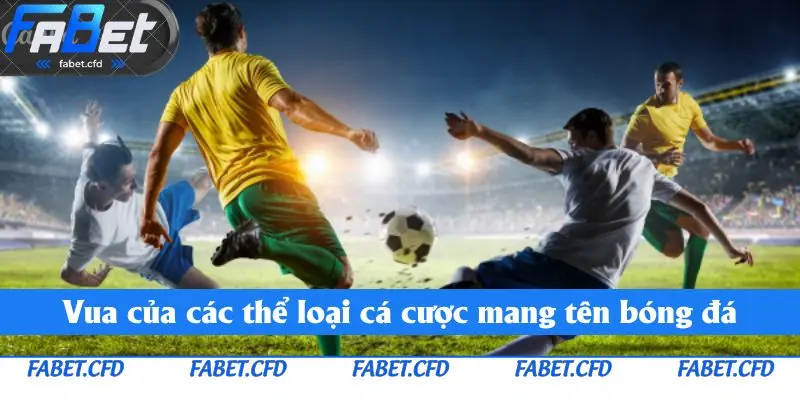 Bộ môn thể thao quốc dân - bóng đá
