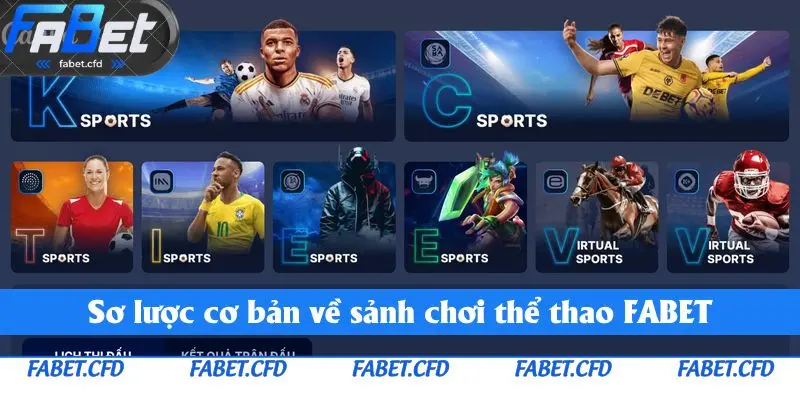 Sơ lược cơ bản về sảnh chơi thể thao FABET